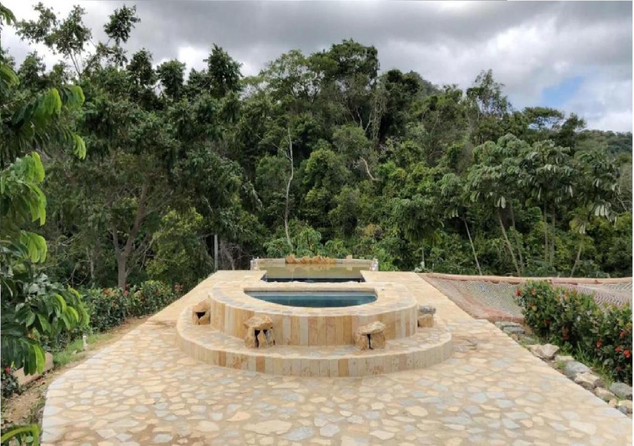אל סאינו Moon Wind Tayrona Hostel מראה חיצוני תמונה