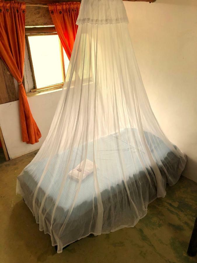 אל סאינו Moon Wind Tayrona Hostel מראה חיצוני תמונה